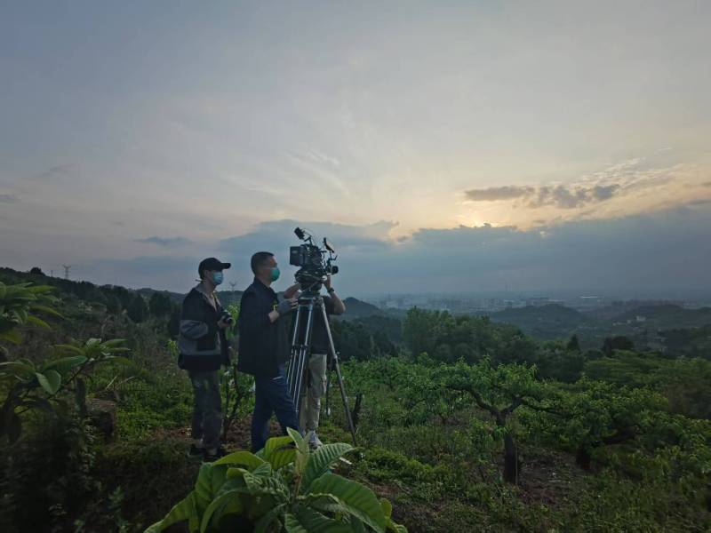 创意破圈！市北区电商产品宣传视频用故事化叙事引爆流量